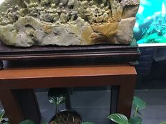 -紫阳家宴(源深店)