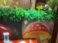 -菌之家·专业纯野生菌火锅·特色炒菌