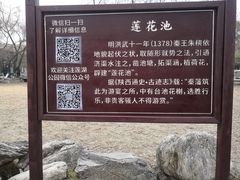 -莲湖公园