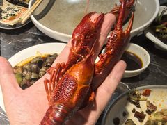 -指爱龙虾(金杨路总店)