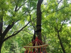 -长白岛森林公园