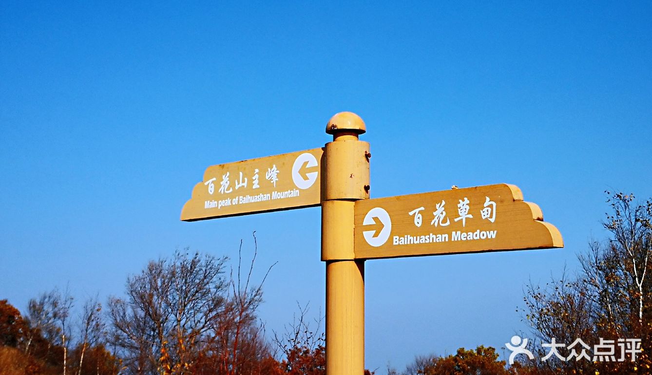 把车开上百花山