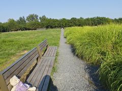 -汉长安城未央宫国家考古遗址公园