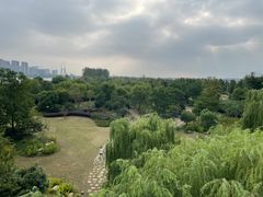-南京眼步行桥