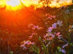 -水峪民俗村