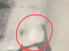 -复旦大学附属华山医院(总院)