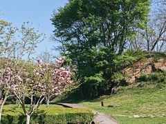 -棒棰岛宾馆景区