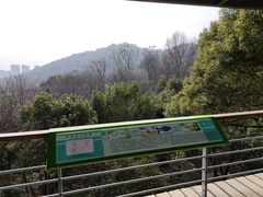 -西湖风景区-江洋畈生态公园