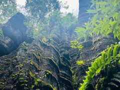 -梭布垭石林景区