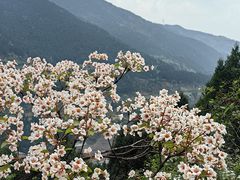 -舒家湾天主教堂