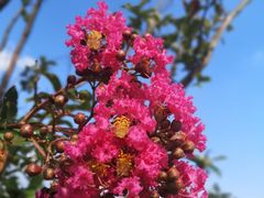 -春花秋色城市公园