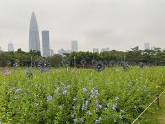 -深圳湾公园(南山区)
