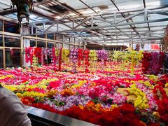 -吉祥圣雪藏餐