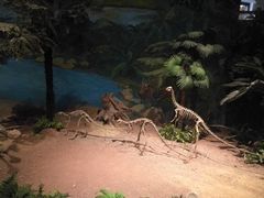 -自贡恐龙博物馆