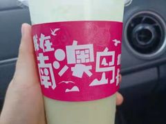 -南澳岛打卡果汁冰公司