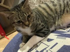 -逃脱反斗城沉浸剧情密室(北京路店)