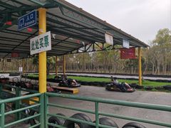 -上海海湾国家森林公园