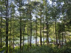 -重庆彩云湖湿地公园