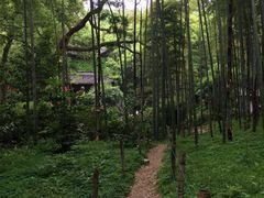 -杭州黄龙洞
