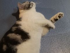 -AOE 火焰 剧本密室狼人杀