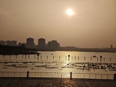 -九龙湖公园