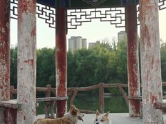 -禹州森林植物园