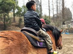 -神户市立六甲山牧场