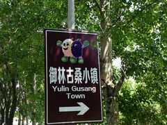 -御林古桑园