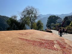 -新安江山水画廊风景区