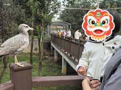 -杭州野生动物世界