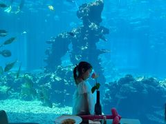 -海棠湾洲际-涛·海底餐厅·美人鱼·自助餐·海底隧道