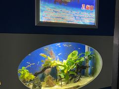 -嘉兴海底世界