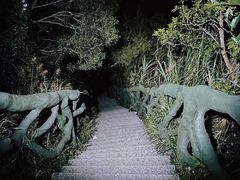 -梧桐山风景名胜区