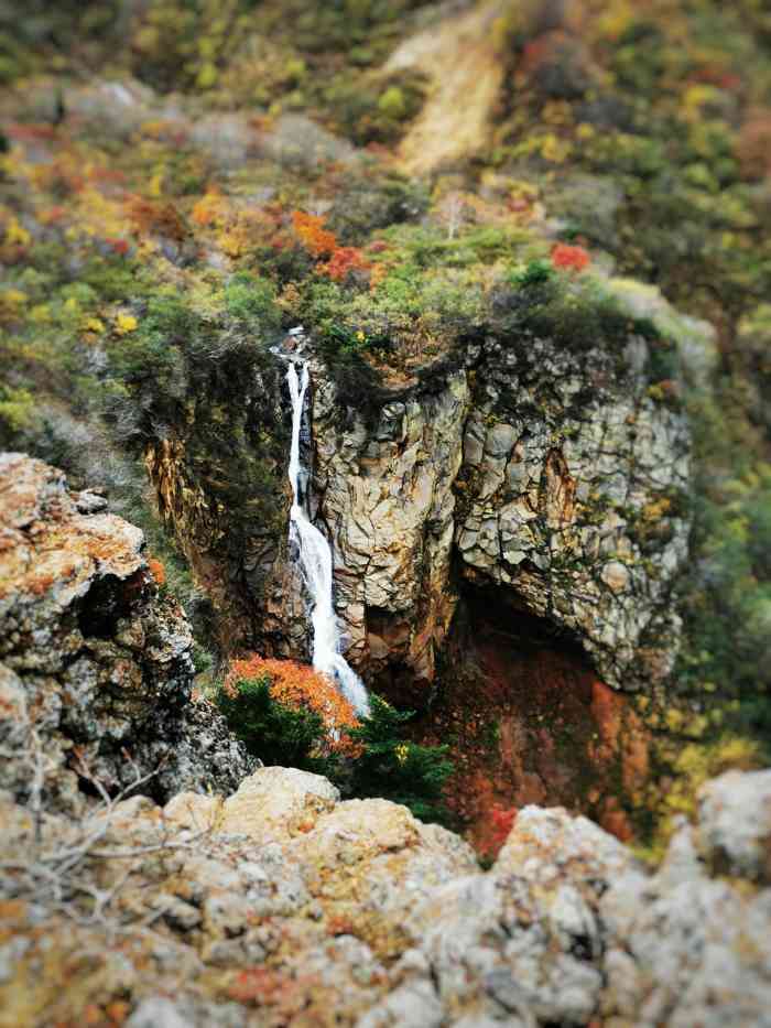 藏王山-"滑雪 温泉圣地.滑雪方面的缆车,还有雪."-大众点评移动版
