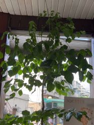-香秀空间科技抗衰·美容中心
