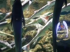 -临沂极地海洋王国