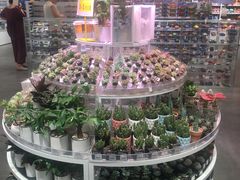 -KKV(深圳kk one 店)
