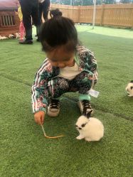 -萌宠亲子动物乐园(槐房万达店)