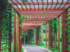 -福田红树林生态公园