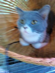 -青木造型HAIR·あおき髪を刈る潮人店