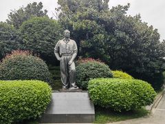 -桂湖森林公园
