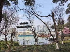 -金鸡湖桃花岛