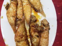 -蛇口康乐快餐鱼仔档(翠苑小区店)