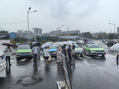 -小麦岛公园