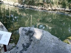 -绮园景区