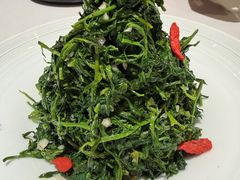 红果枸杞苗-清真·宁夏印象·盐池滩羊肉体验店(江宁路店)