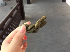 -王阿姨文昌油赞子(府桥街店)