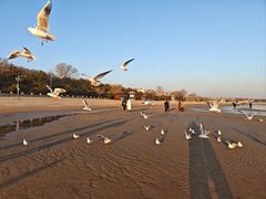 -老虎石海上公园