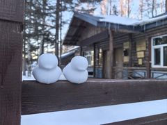 -峡谷浮石林景区