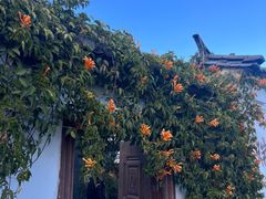 -瑞丰园庭院餐厅·白族传统家常菜